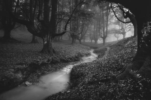 Photograph Ander Alegria Dim Light on One Eyeland